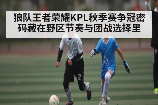 狼队王者荣耀KPL秋季赛争冠密码藏在野区节奏与团战选择里