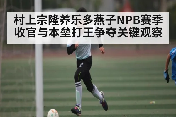 村上宗隆养乐多燕子NPB赛季收官与本垒打王争夺关键观察